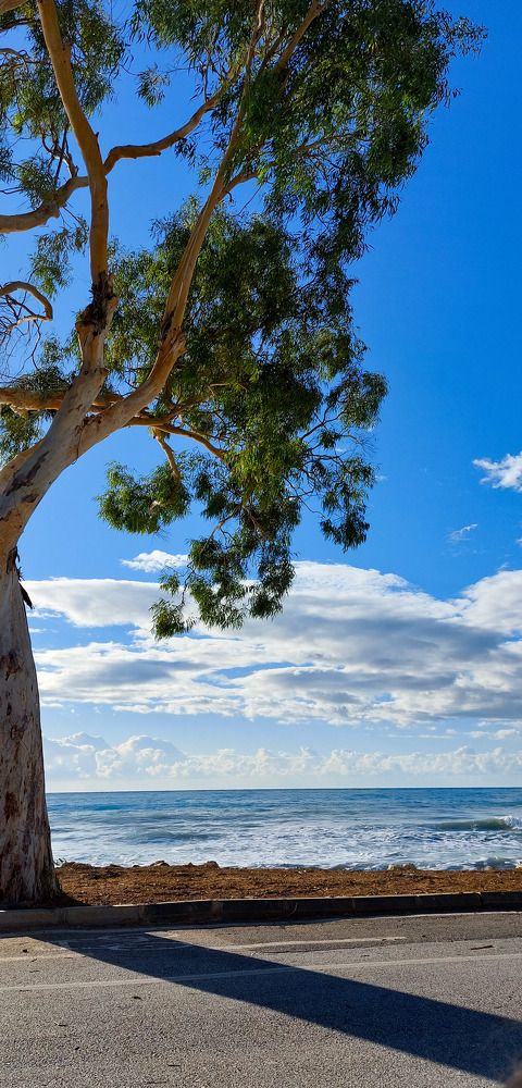 Photograph by Марина Горшкова