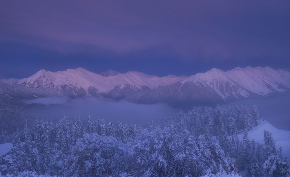 Photograph by Олеся Федосеенкова