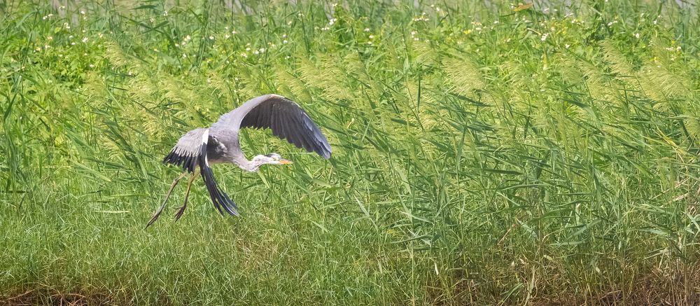 Photograph by Benny Chan