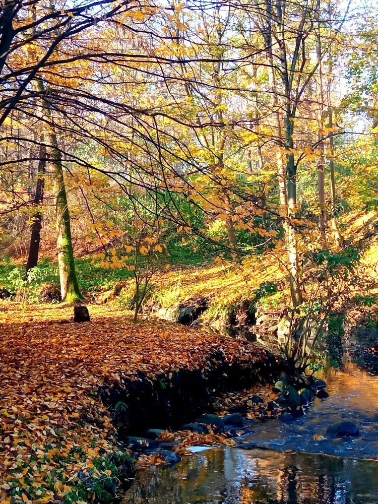 Photograph by Елена Титарева