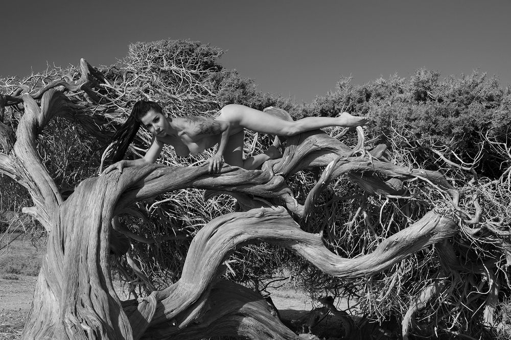 Photograph by Elena Kirilishina