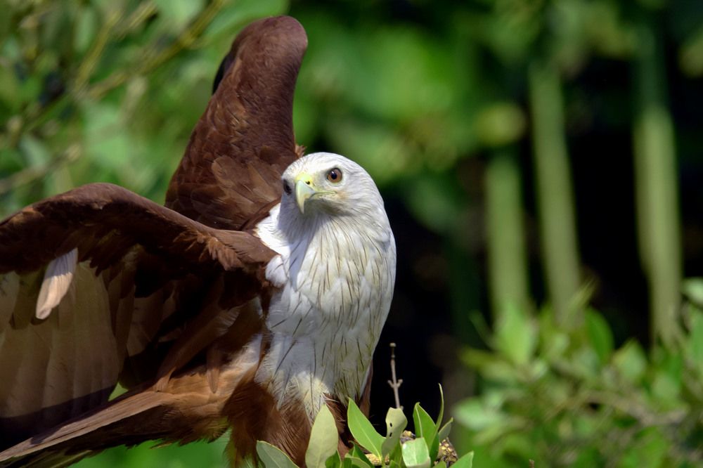 Photograph by Satish Nerlekar