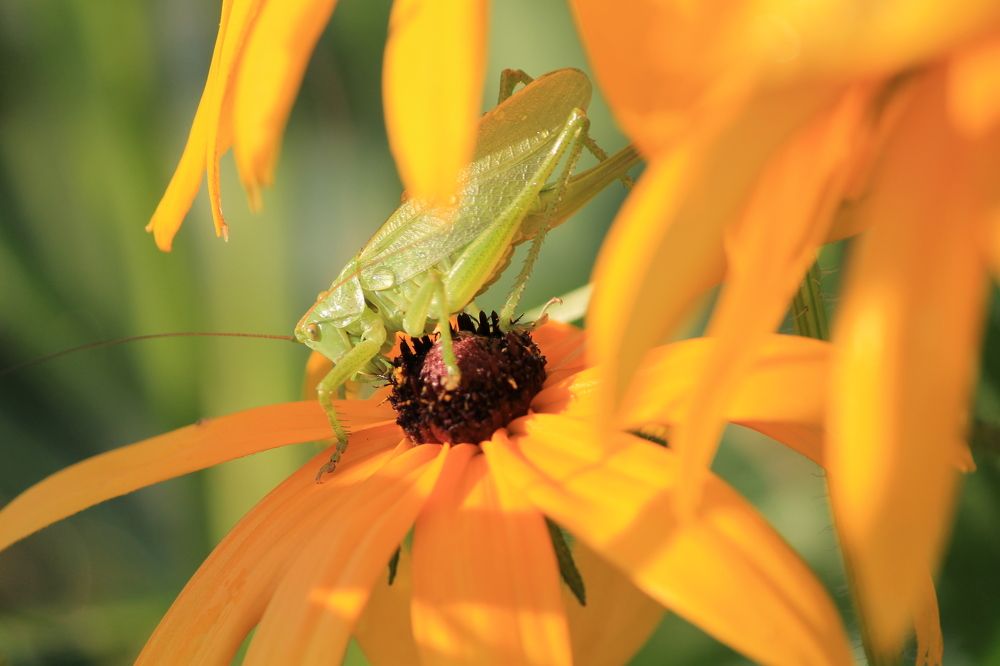 Photograph by Наталья Жигарева