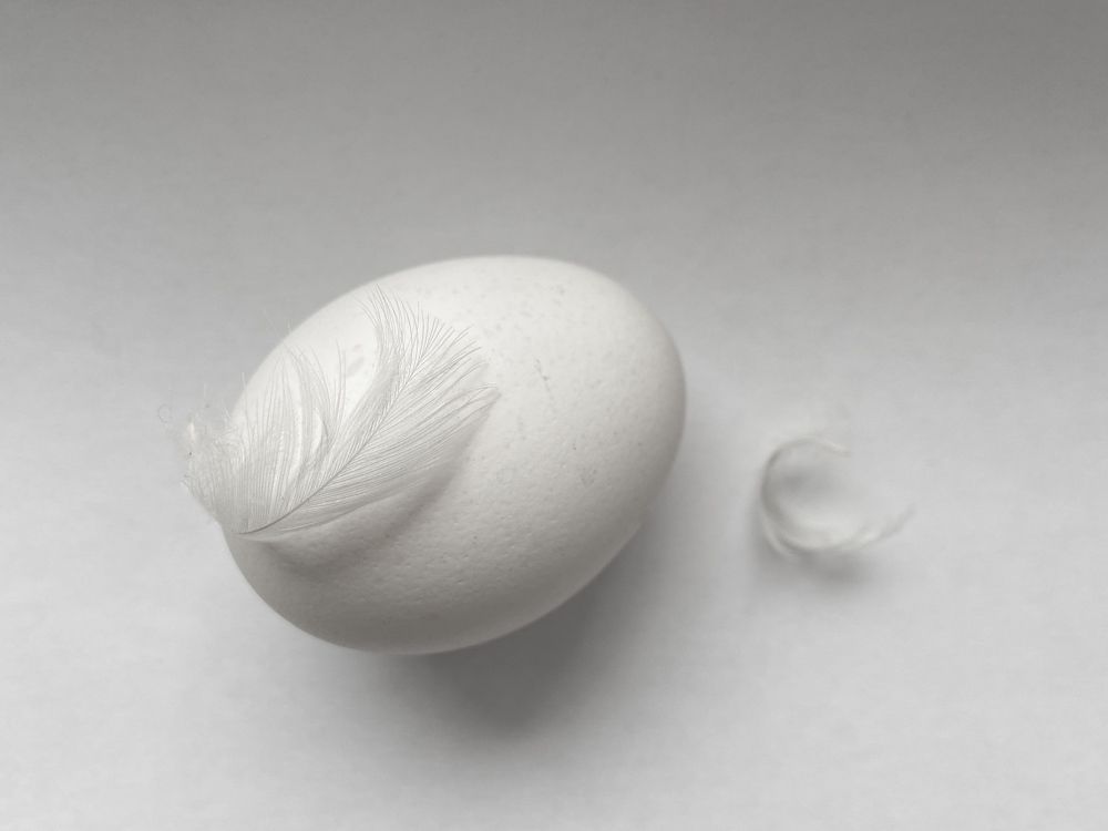 Photograph by Светлана Коваль