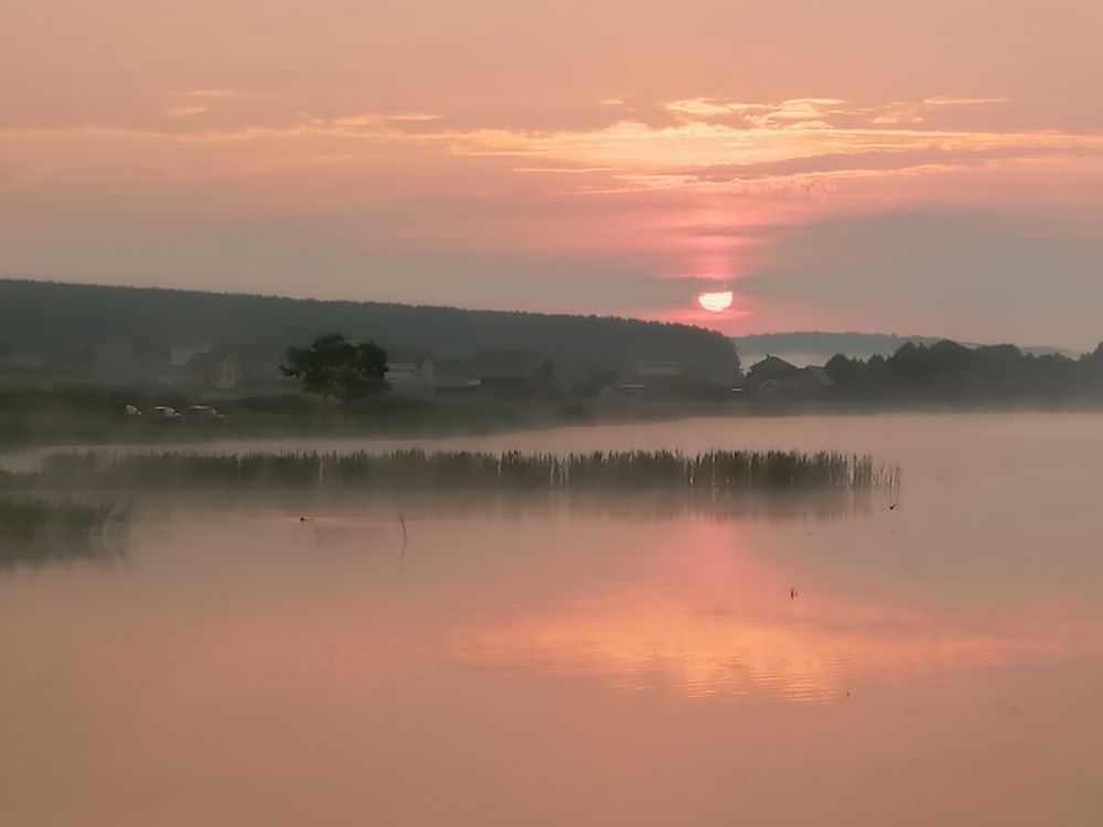 Фотография автора Татьяна