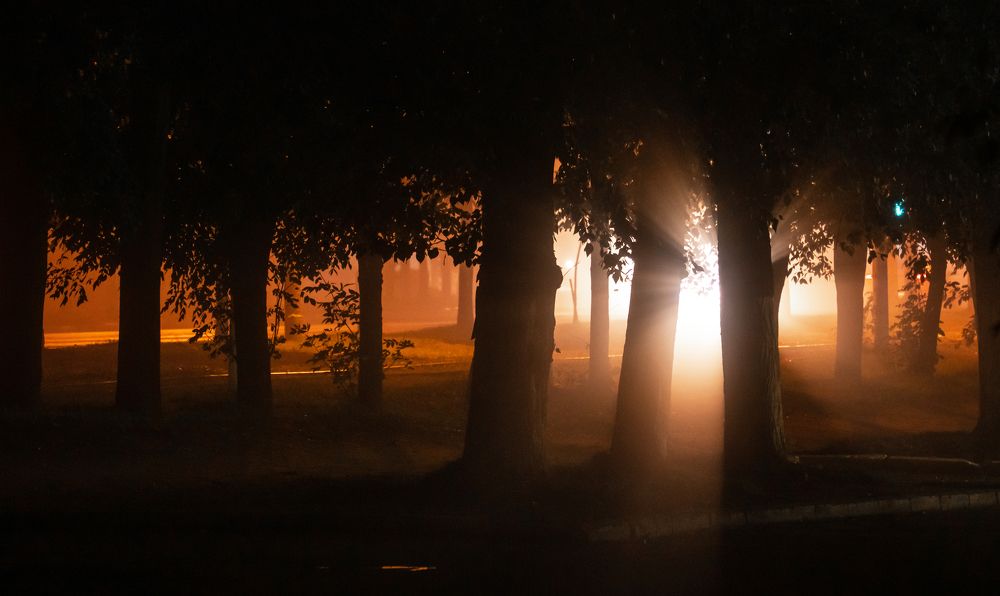 Туманная аллея