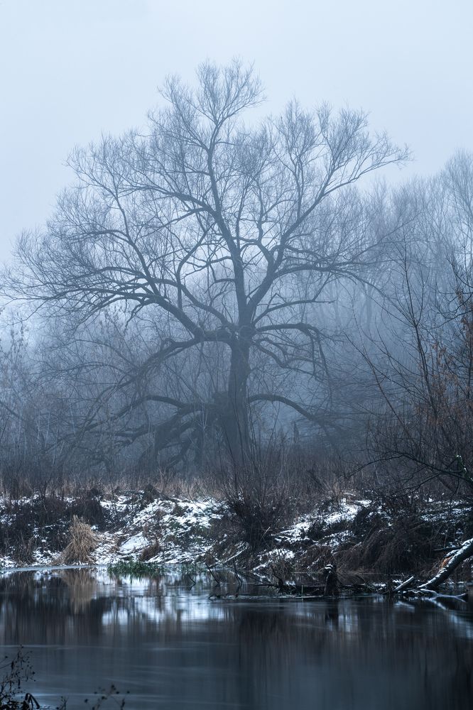 На исходе осени