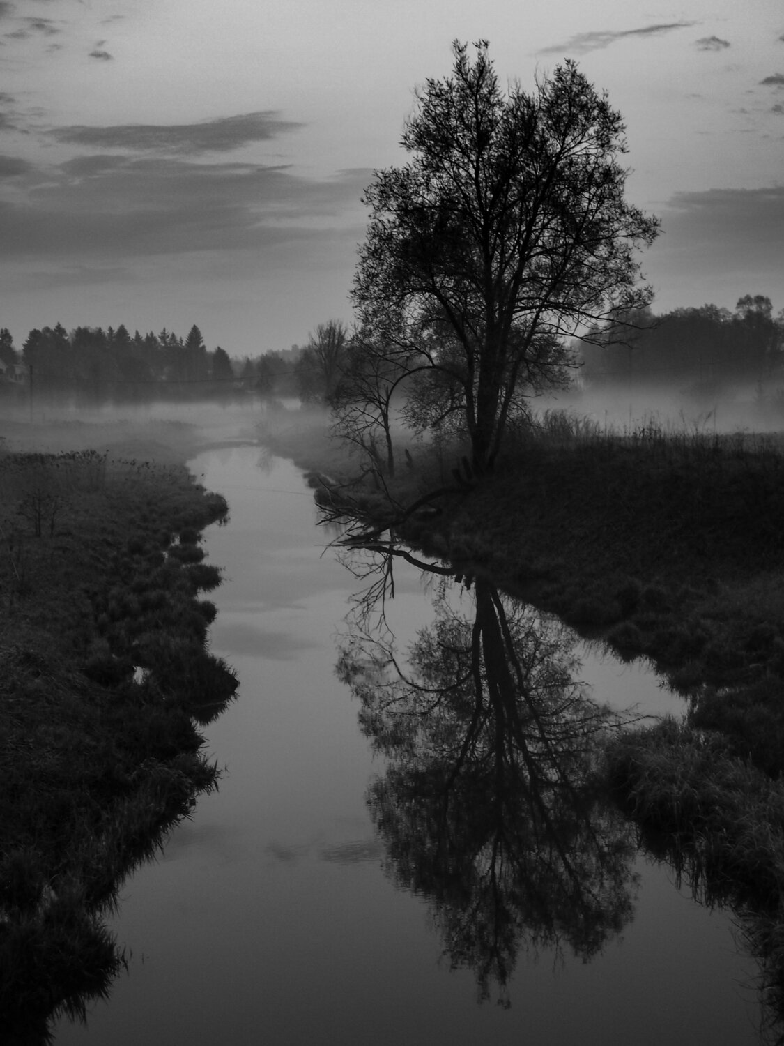 Photo #6810856