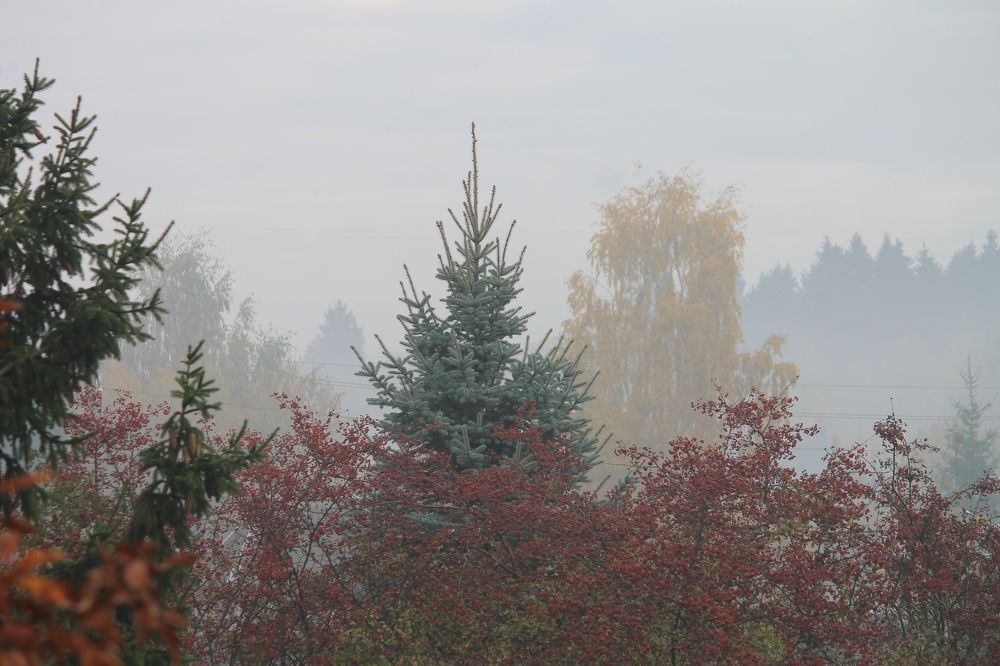 Photograph by Наталья Жигарева