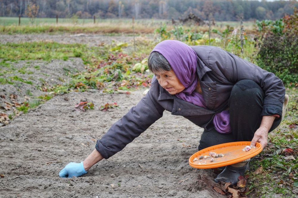 Photograph by Леонид