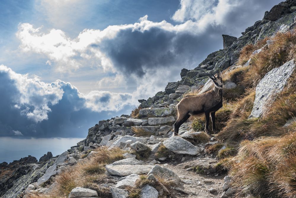 Photograph by Marek Kiraly