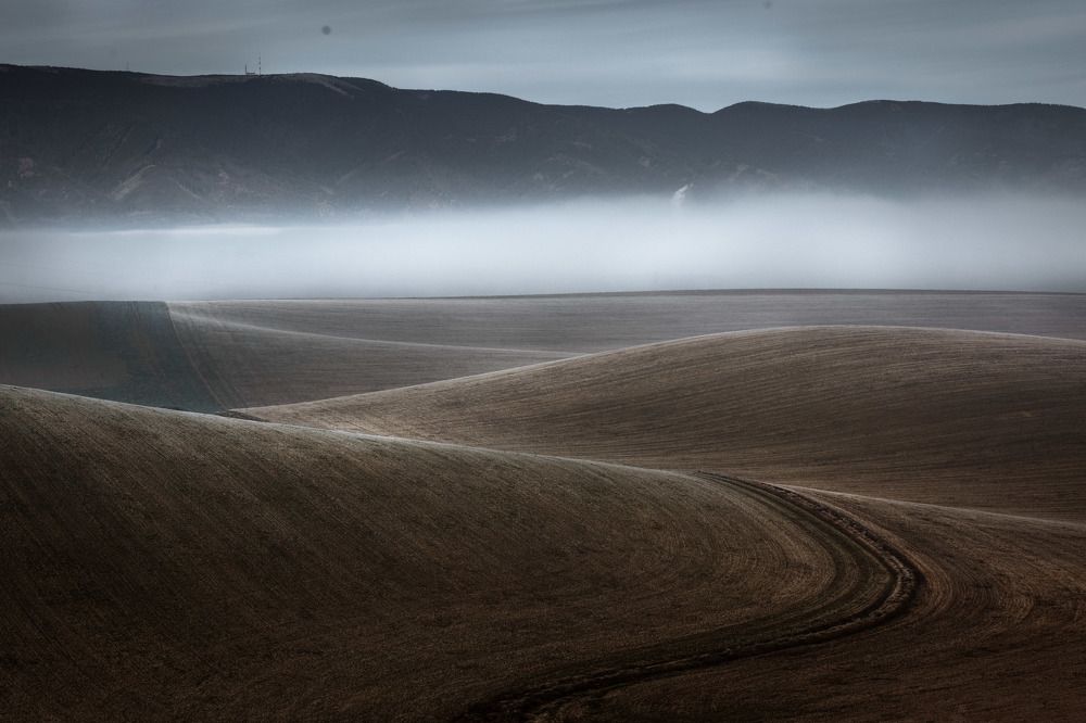 Photograph by Denisa Miazdrová