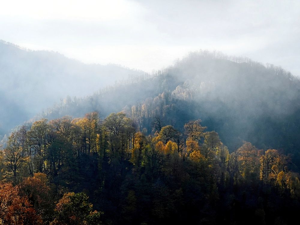 Photograph by Ali goreishi