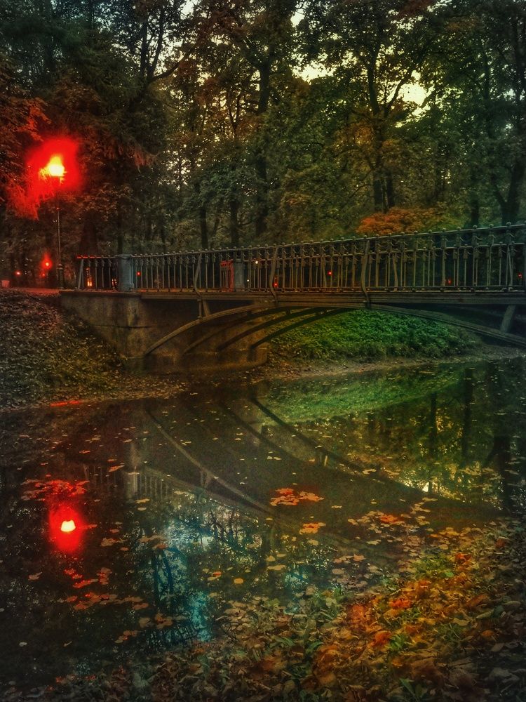 Photograph by Дайана