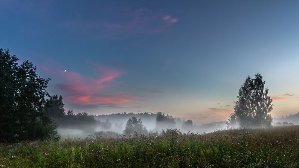 МОЛОЧНЫЙ ТУМАН