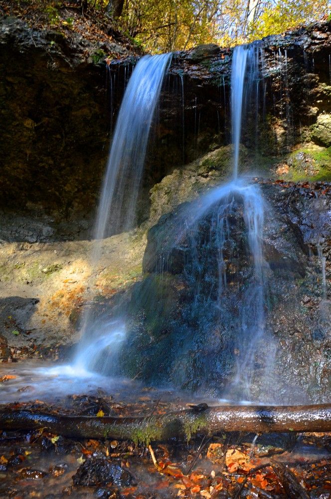 Photograph by Ольга Шевцова