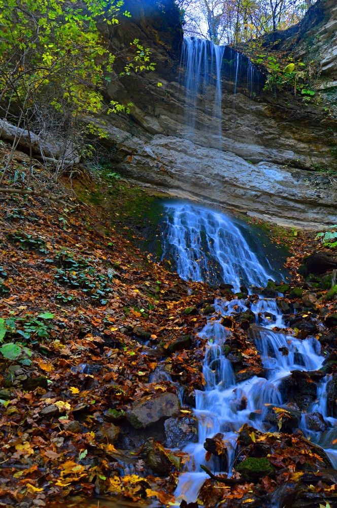 Photograph by Ольга Шевцова