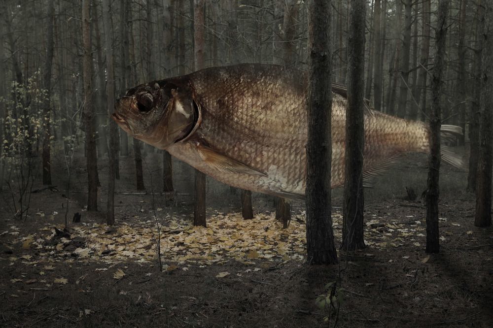 Фотография автора Виктор Кириллов