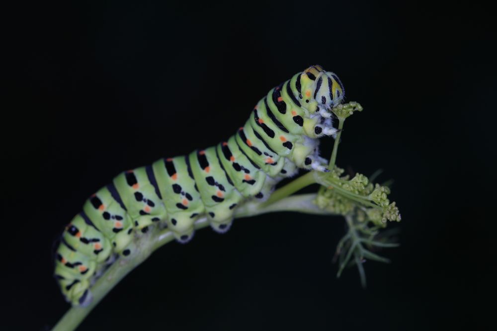 Photograph by Yakup Temel