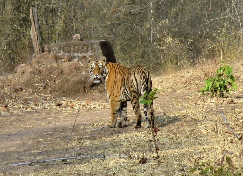 Photograph by ANISH BISWAS