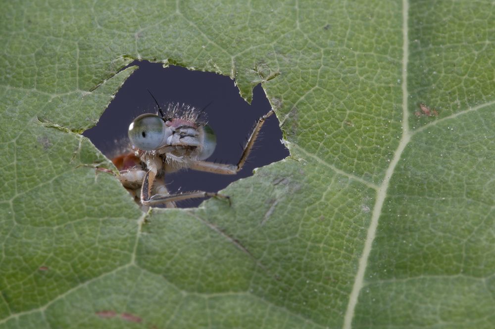 Photograph by Yakup Temel