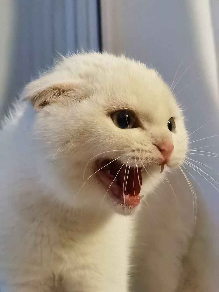 Photograph by Виолетта Юдина