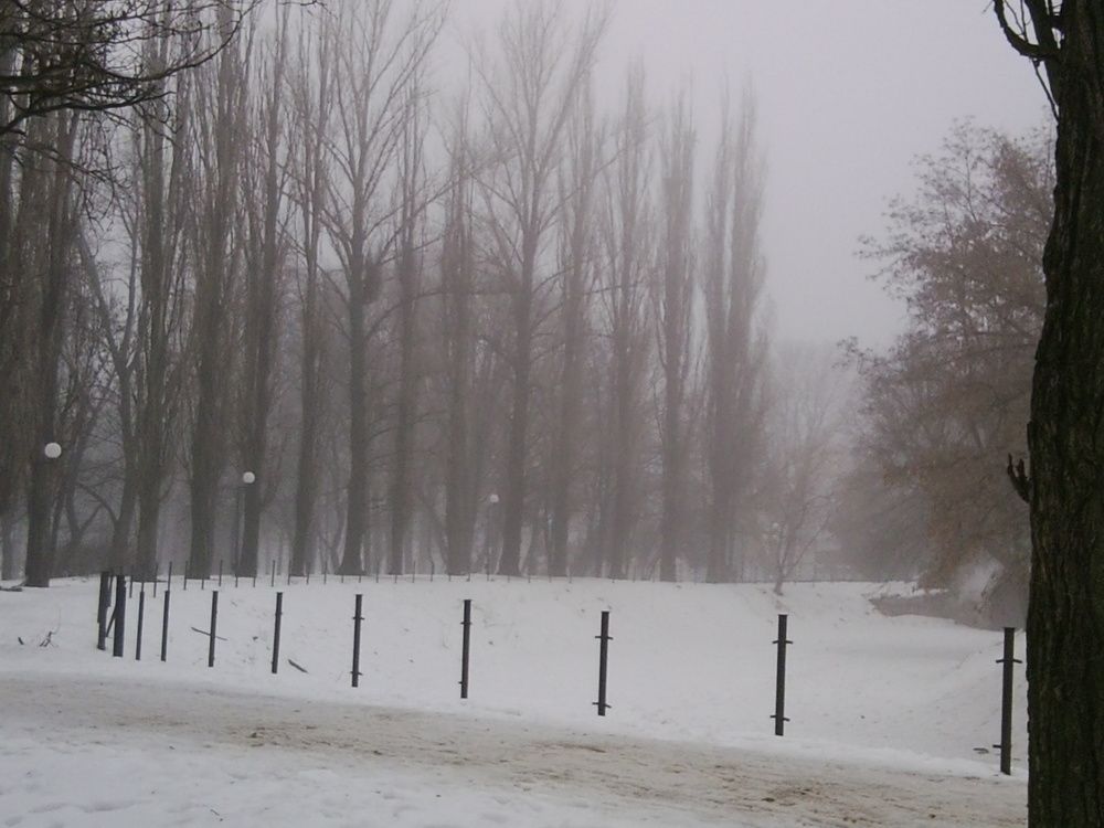Photograph by Екатерина Истомина