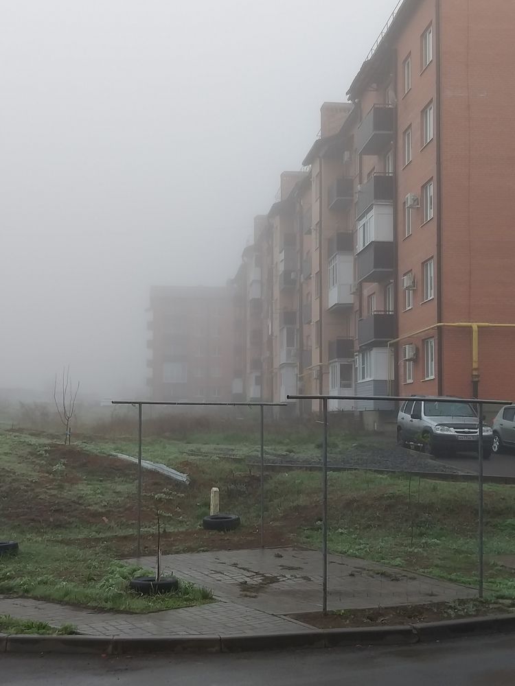 Photograph by Екатерина Истомина