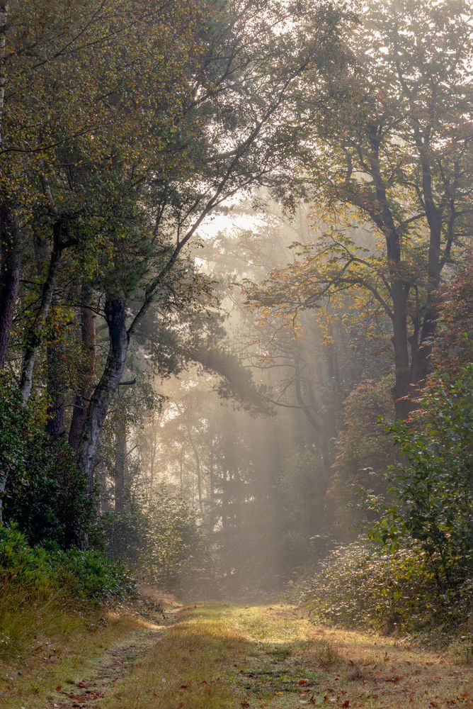 Photograph by Silvia Koopmans