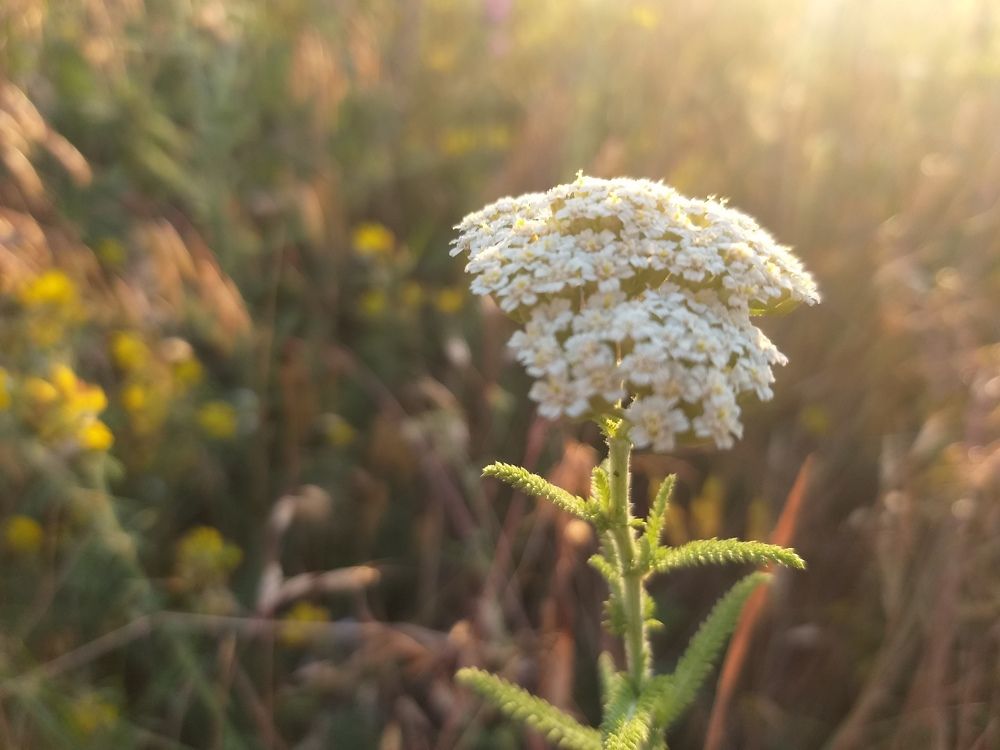 Photograph by Екатерина Истомина