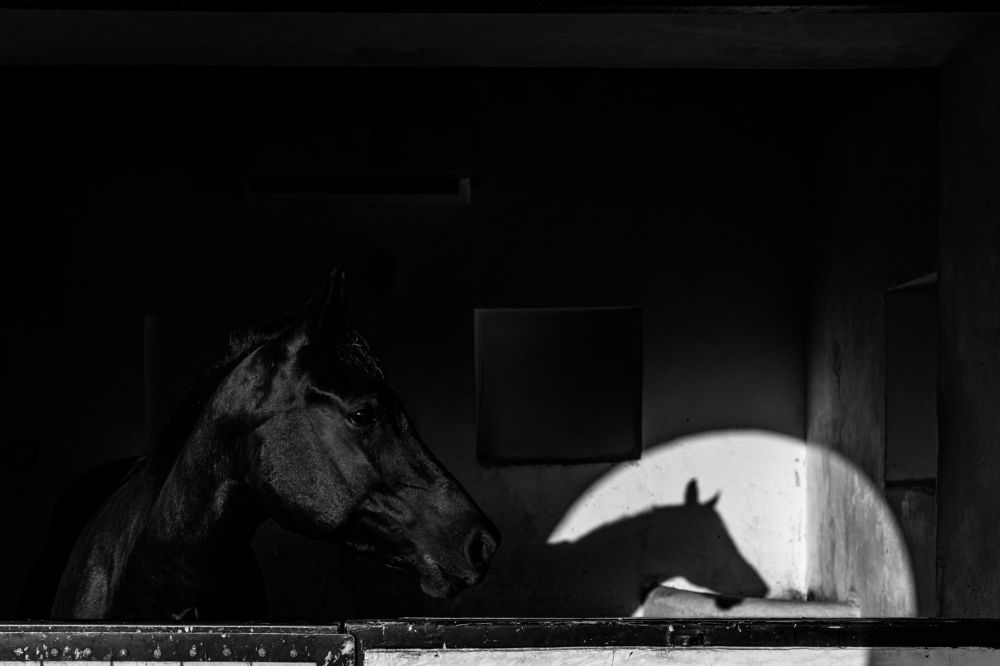 Photograph by SHAJI CHANDRAN