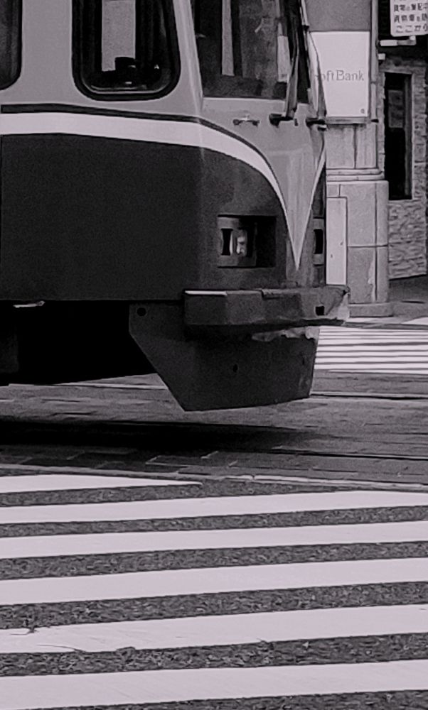 Photograph by Larissa