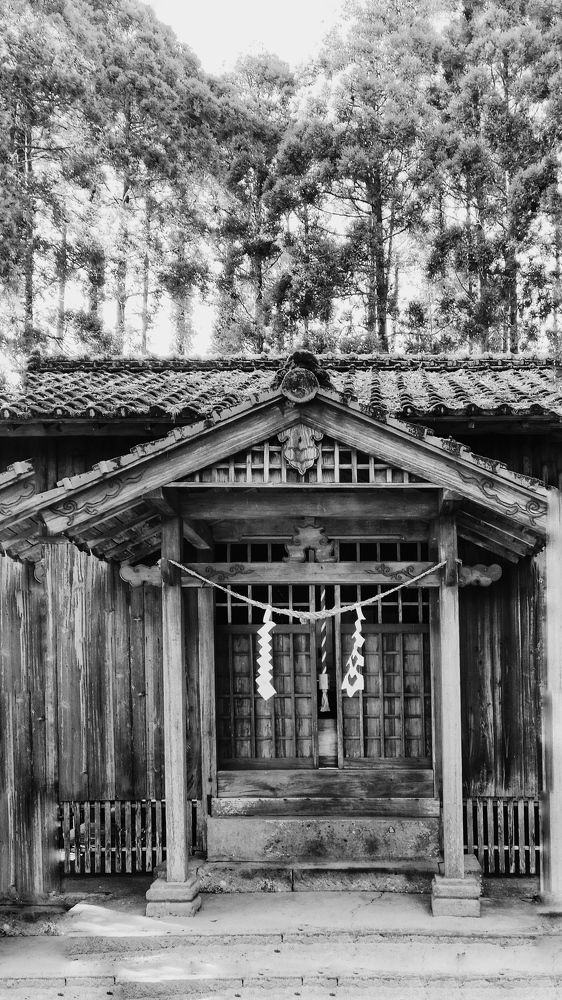 Photograph by Larissa