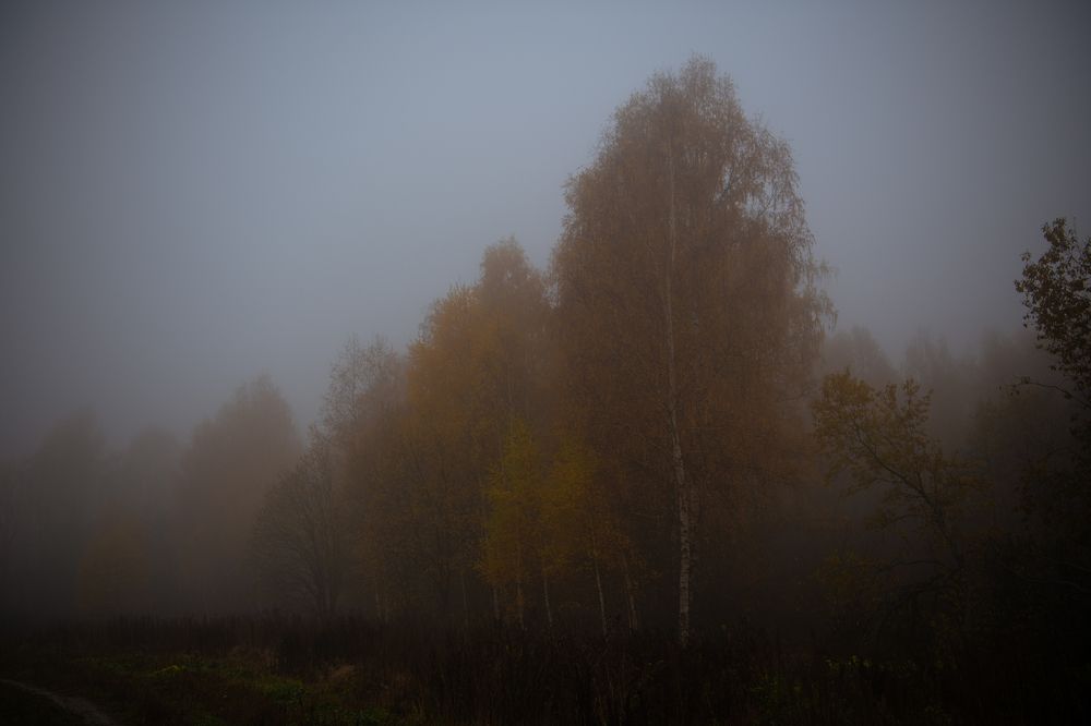 Фотография автора Екатерина Лапаева