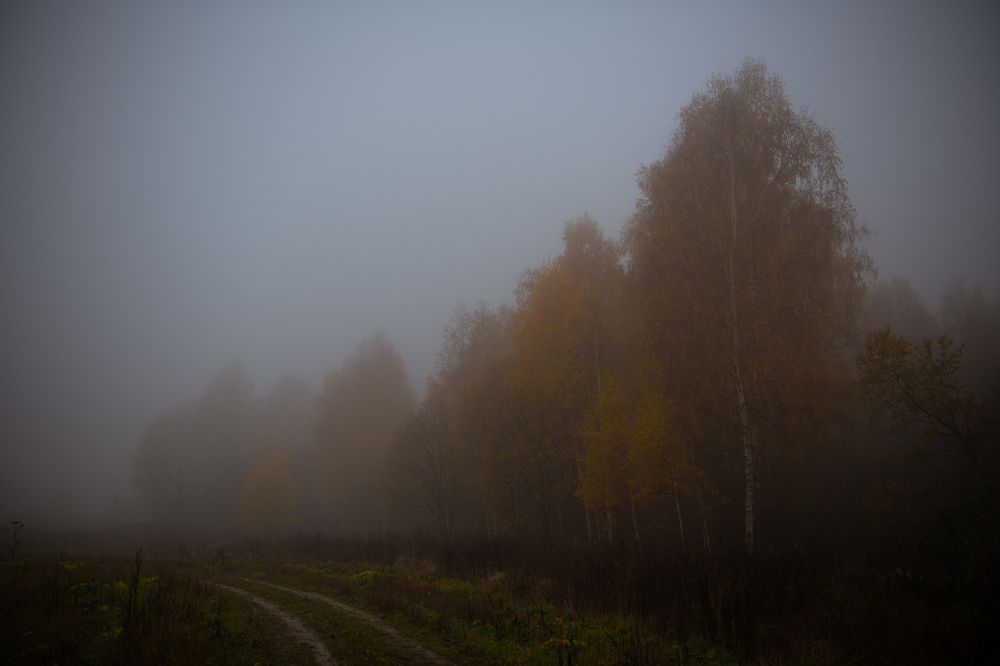 Фотография автора Екатерина Лапаева