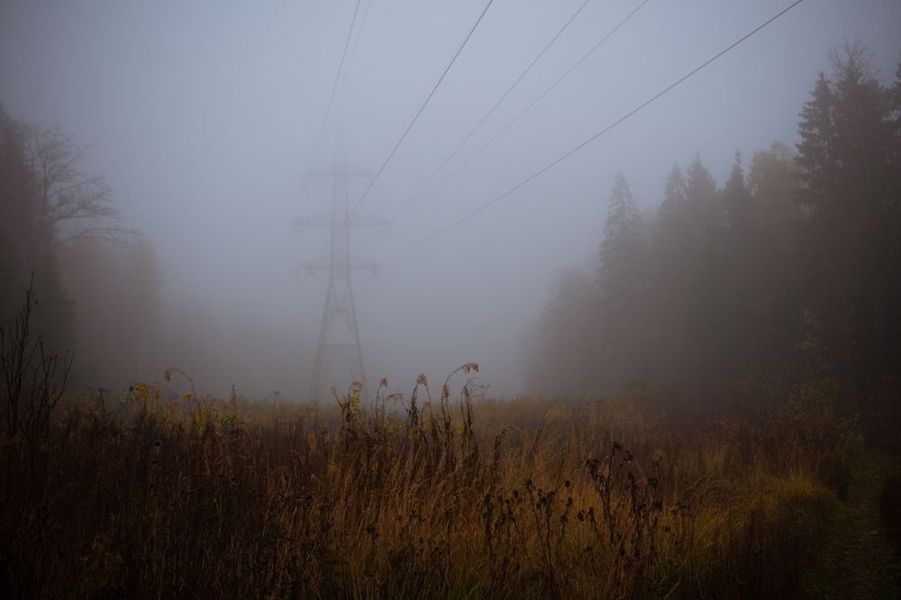 Фотография автора Екатерина Лапаева