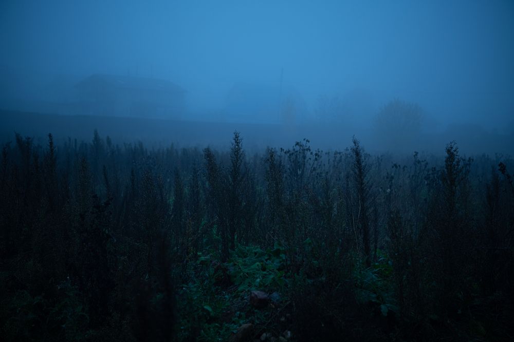 Фотография автора Екатерина Лапаева