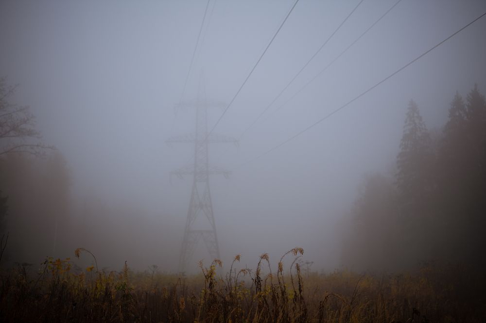 Фотография автора Екатерина Лапаева