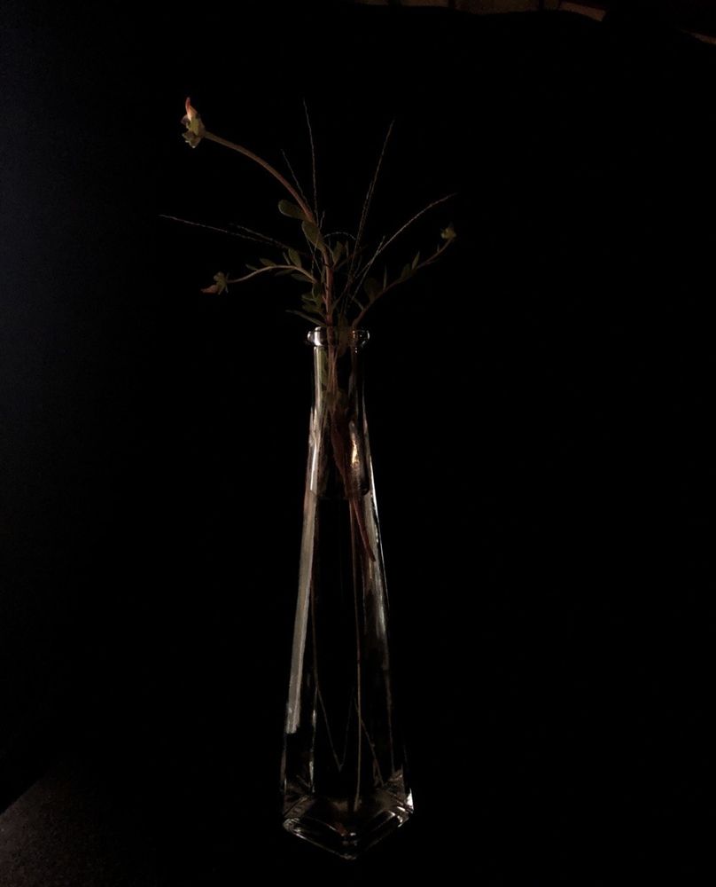 Photograph by Larissa