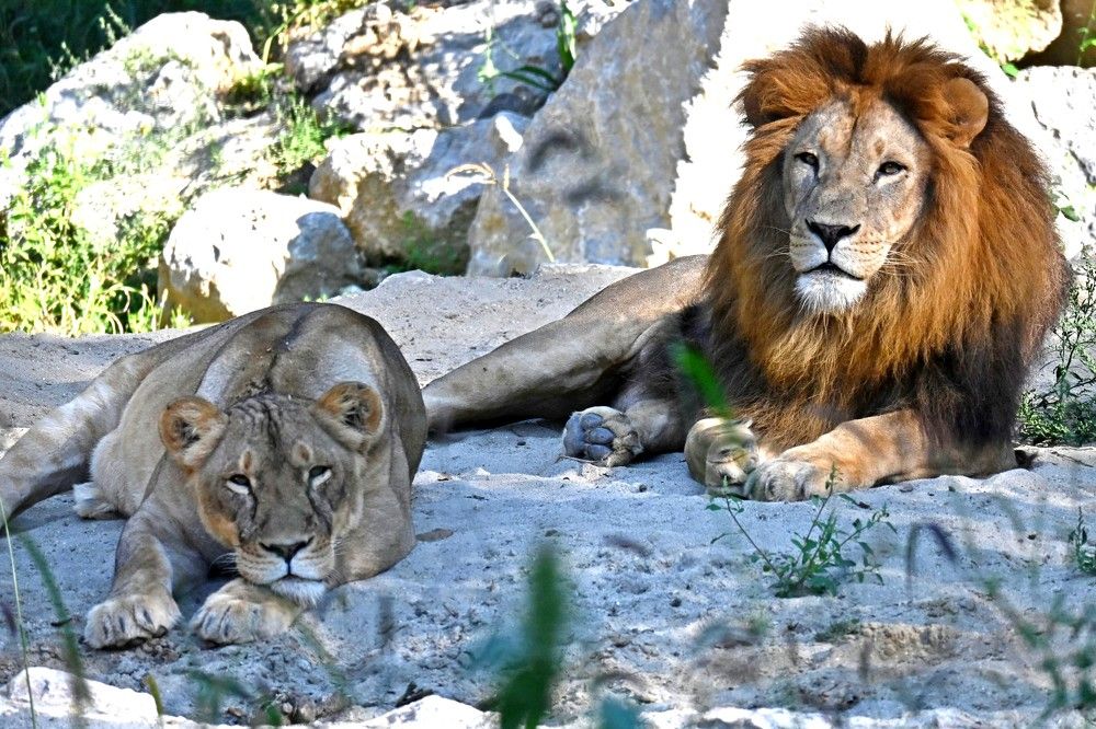 Photograph by Csótai Katalin