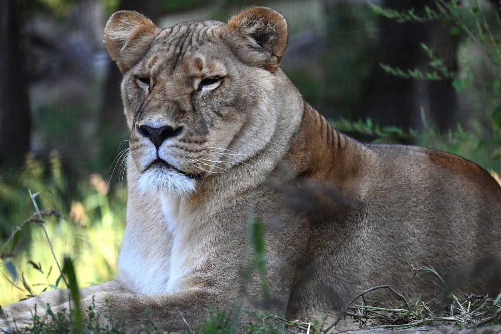 Photograph by Csótai Katalin