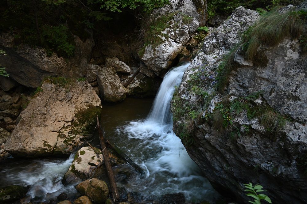 Photograph by Наталья Пирогова