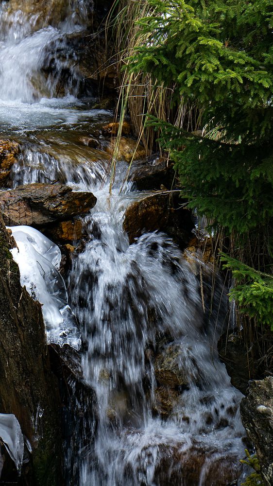 Photograph by Виталий Павлов