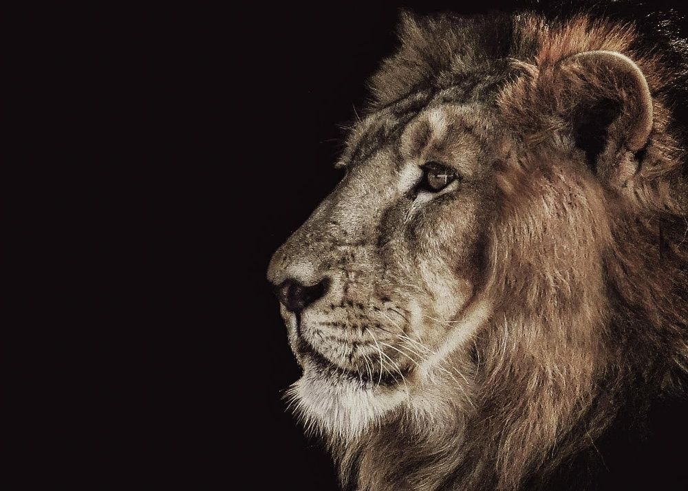 Photograph by Madhurya Mozumder