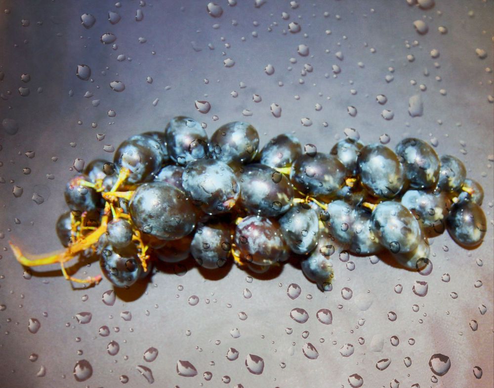 Photograph by Денис Геранькин