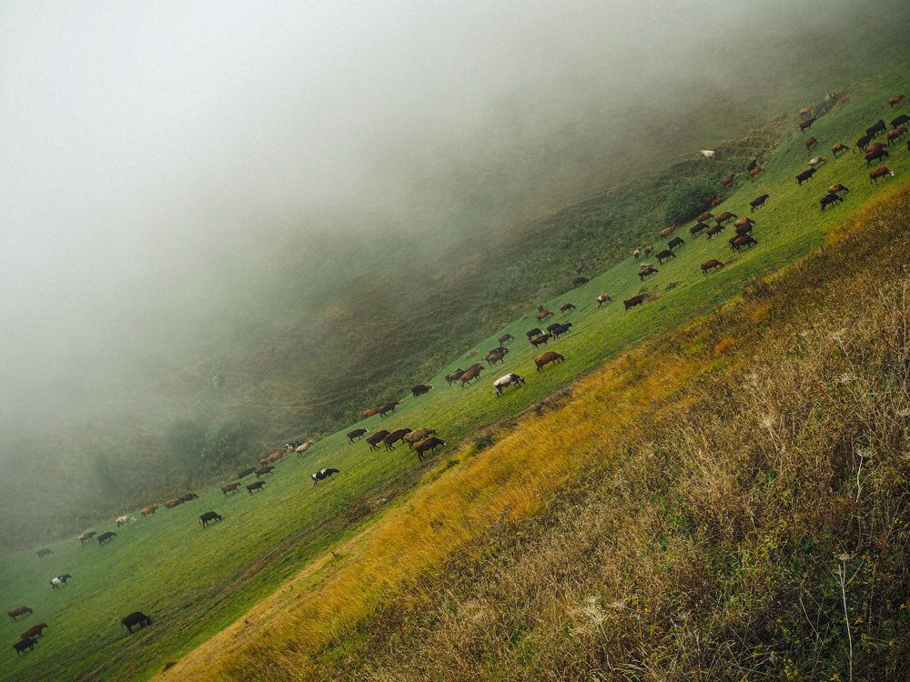 Photograph by Лейла