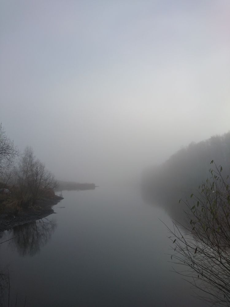 Photo #6811739