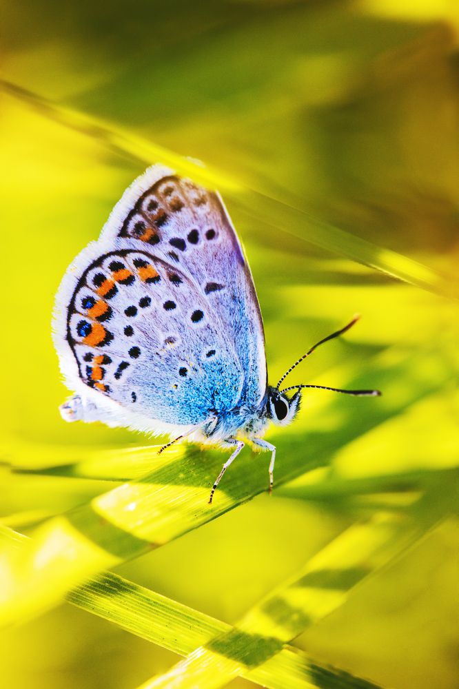 Photograph by Ольга Золотухина-Шамли