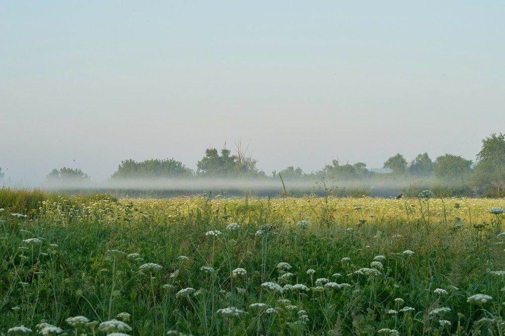 Photograph by Наталия Маслова