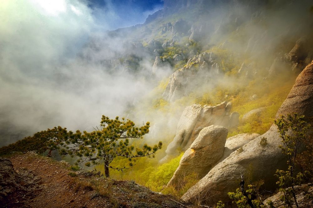 Photograph by Алексей Никонов